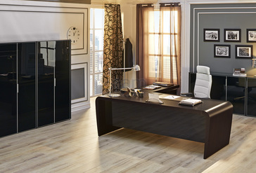 Кабинет руководителя Dali