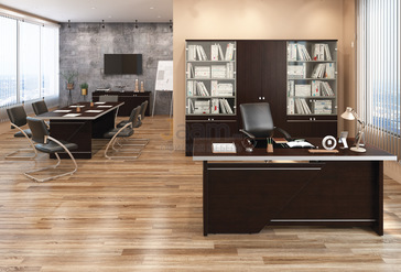 Кабинет руководителя Zoom